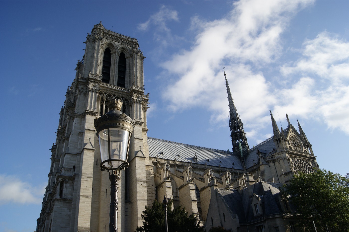 Notre-Dame-de-Paris im Frühsommer ist einfach immer schön.