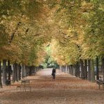 des Weges? Herbstliches Paris im Jardin du Luxembourg