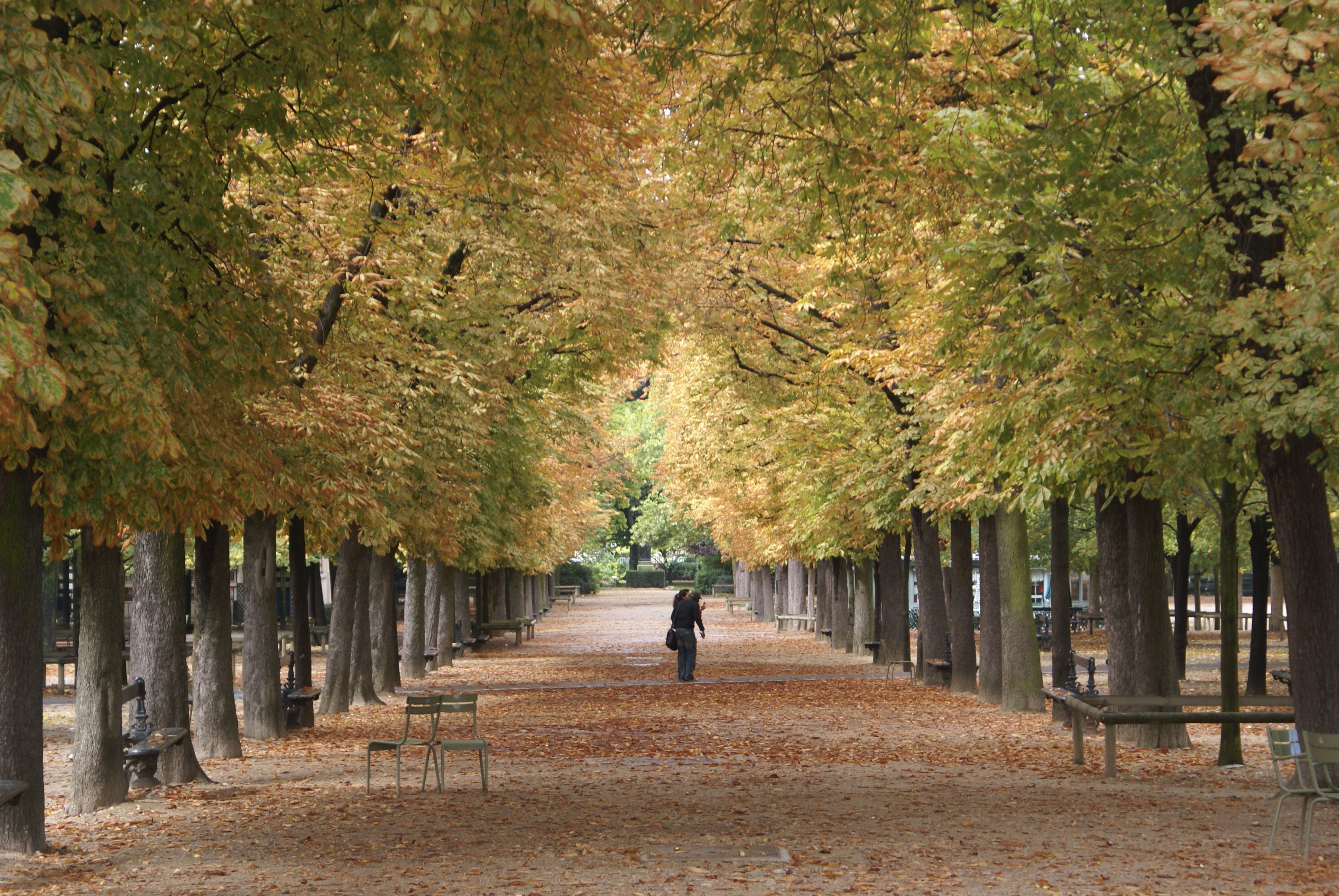 Das Ziel des Weges? Herbstliches Paris im Jardin du Luxembourg
