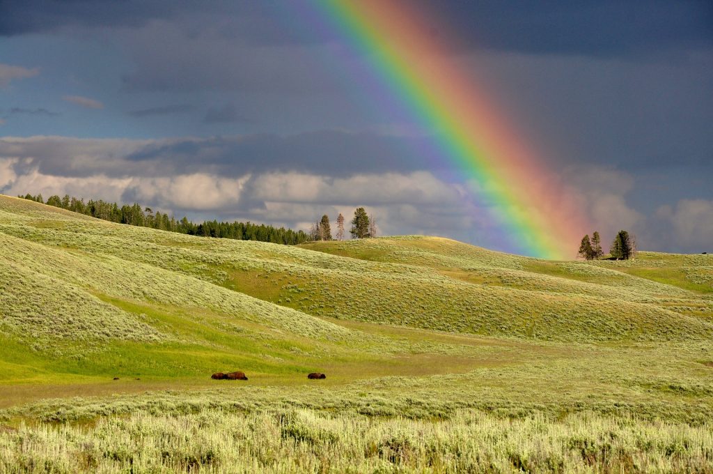 9 Tricks für mehr Regenbogen in deinem Leben