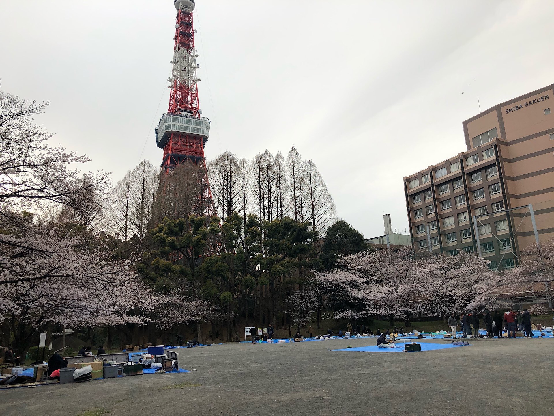 In jedem Park werden Picknicks abgehalten, auch vor dem Tokyo Tower