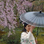 5 Wochen Japanurlaub, Kirschblüte, Tokyo